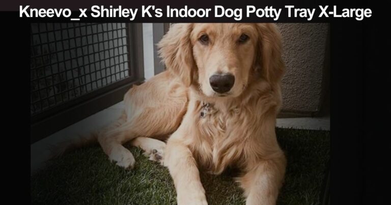 Kneevo_x Shirley K’s Indoor Dog Potty Tray X-Large – Get It Now!