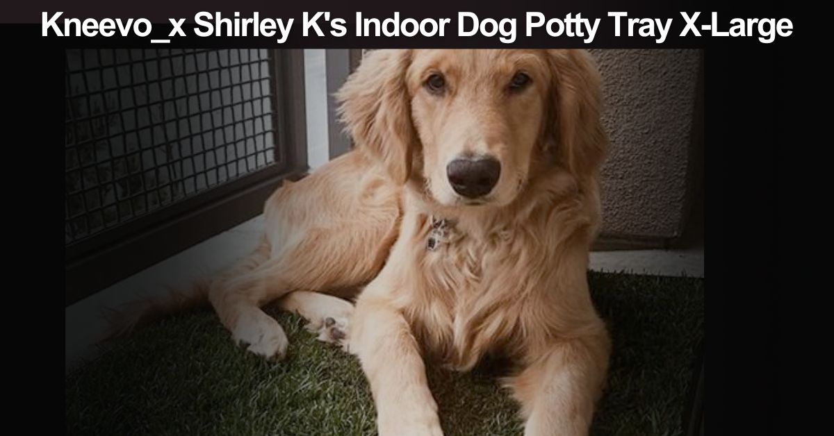 Kneevo_x Shirley K's Indoor Dog Potty Tray X-Large